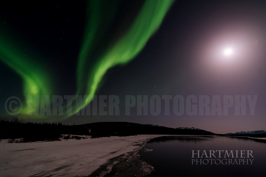 Full moon and Aurora ,Tagish ,Yukon